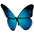 files/Butterfly.png